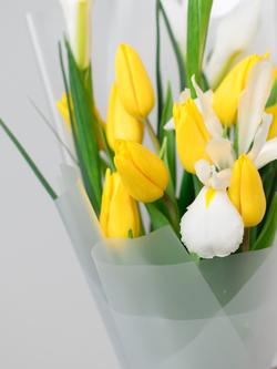 Дуо букет Ирисы с Тюльпанами