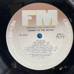 Винтажная виниловая пластинка LP Andreas Vollenweider Down To The Moon (США 1986)