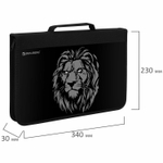 Папка на молнии BRAUBERG А4 с ручкой с органайзером 1 отделение "Savage lion" (2 штуки в упаковке)