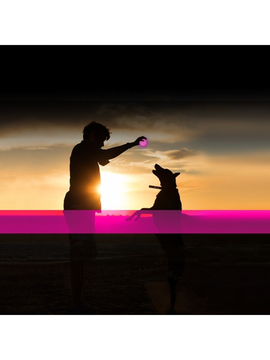 DUVO+ Игрушка для собак интерактивная Мяч светящийся, розовый, 6,3 см