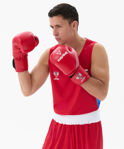 Перчатки боксерские INSANE RBF, красный, 12 oz