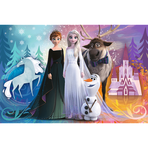 Puzzle - "24 SUPER MAXI" - Happy Frozen Land / Disney Frozen 2