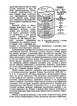 Зоология позвоночных. Часть 1. Низшие хордовые, беcчелюстные, рыбы, земноводные | Н. П. Наумов; Н. Н. Карташев