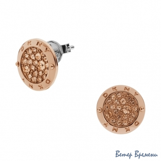 Бижутерия DKNY NJ2017040