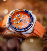 Seiko Mod Turtle