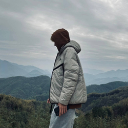 Nike Synthetic-Fill Windrunner