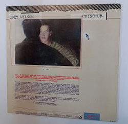 Винтажная виниловая пластинка LP Joey Wilson Going Up (USA Promo 1980)