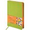 Gündəlik/Ajanda/Ежедневник/Diary Ежедневник недатированный А5 Rainbow зеленый