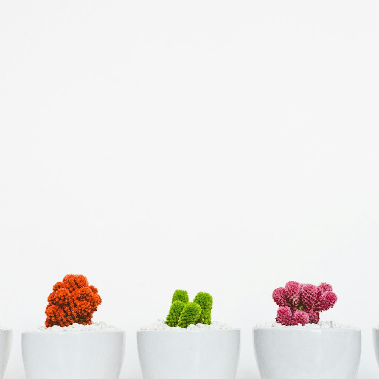 Получите профессиональную поддержку онлайн-касс прямо сейчас!