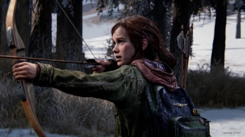 The last of us 1 (remake)