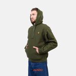 Толстовка мужская Carhartt WIP Hooded American Script  артикул:I028279_tarragon - купить в магазине Дайс