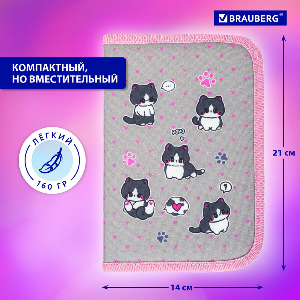Пенал BRAUBERG 1 отделение полиэстер 21х14 см "Cat patches" (2 штуки в упаковке)