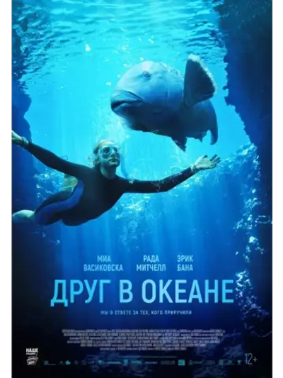 Друг в океане (2022) (DVD-R)