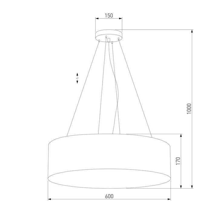 Подвесной светильник TK Lighting 4241 Rondo Graphite