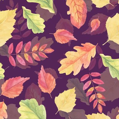 Вечерний листопад