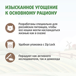 Лакомство Ферма кота Федора хрустящие подушечки для кошек и котят с паштетом из говядины 40 г