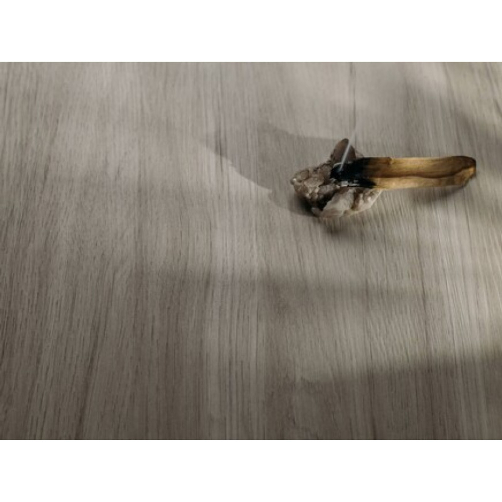 Кария Арктик D.600