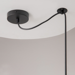 Подвесной светильник Maytoni Broni T439-PL-01-GR