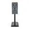 Focal Theva N1 Dark Wood