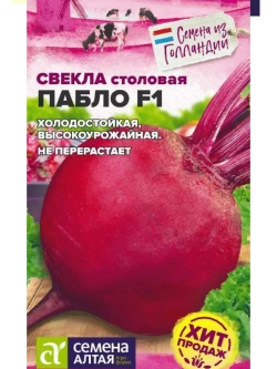 Семена сладкой свеклы Пабло F1 из Голландии
