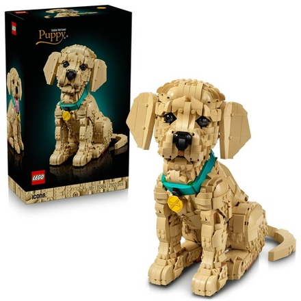 LEGO Icons - Щенок золотистого ретривера 11384