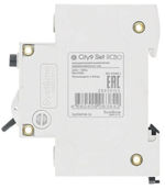 Автомат дифференциальный Systeme Electric C9D55616