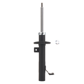 EWIGER - EW121134875-EWI - Shock Absorber