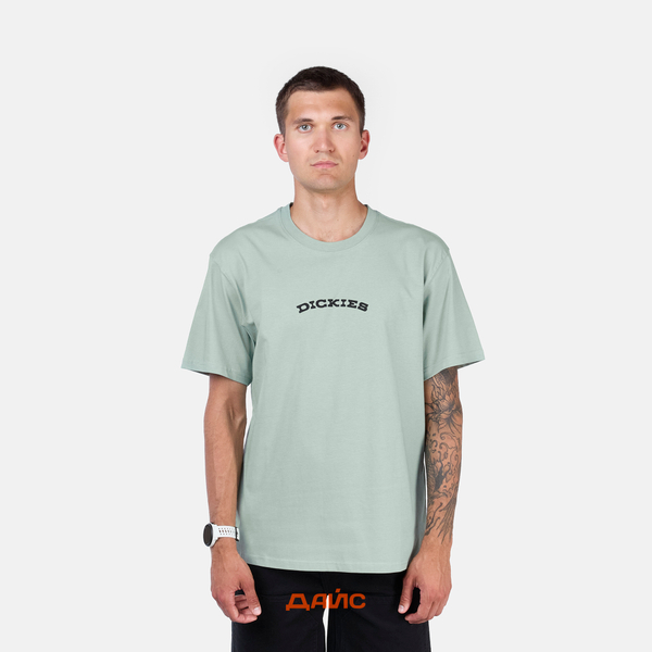 Футболка мужская Dickies Outdoor артикул:DK0A4Z8PK361 - купить в магазине Дайс