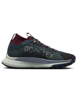 Кроссовки Nike Pegasus Trail 4 Gtx 'Green' Women's