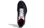 Кроссовки Adidas D Rose 10