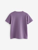 Футболка для мальчика Next E45-242, 4 шт., Сиреневый, Песочный, Зеленый