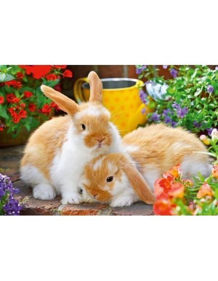 Puzzle Kleine Kuschelzeit 2x12 pcs