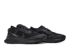 Кроссовки Nike Pegasus Trail 3 Gore-Tex "Black"