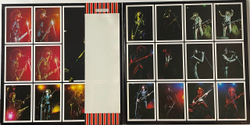 Винтажная виниловая пластинка LP Suzi Quatro Aggro Phobia (Japan 1976) (Obi) The Honky Tonk Downstairs