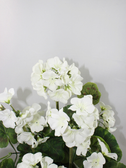 Искусственные цветы Герань белая 30см в кашпо