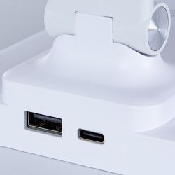 Офисная настольная лампа Arte Lamp