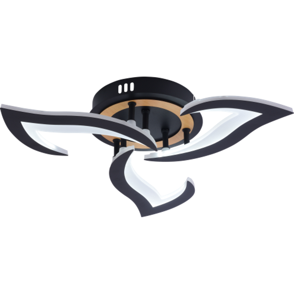 Светильник потолочный светодиодный Rivoli Cassandra 6194-703 LED 3000-6250К 42 Вт с пультом | Интерьерные светодиодные светильники