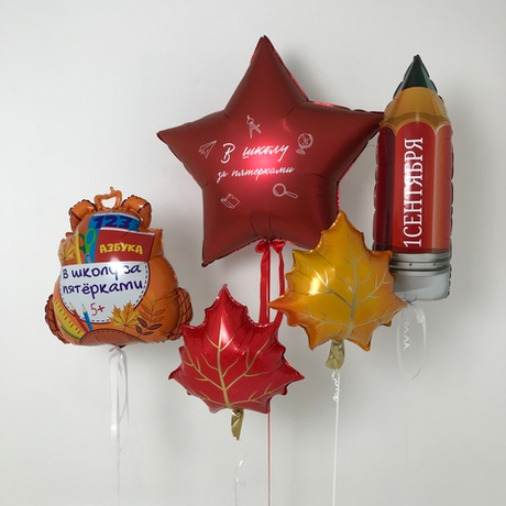 Сет "В школу за пятерками"