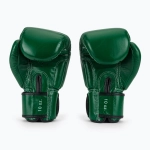 Боксёрские перчатки Fairtex Real Leather Boxing green