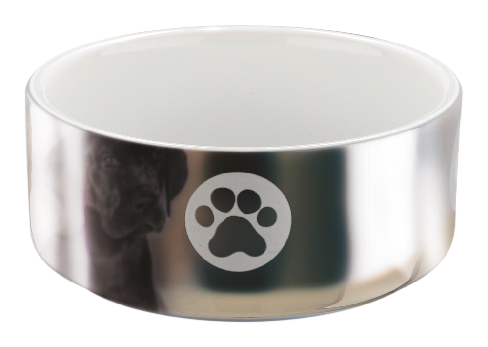 Миска для собак Trixie Ceramic Bowl S, размер 12см., серебряный / белый