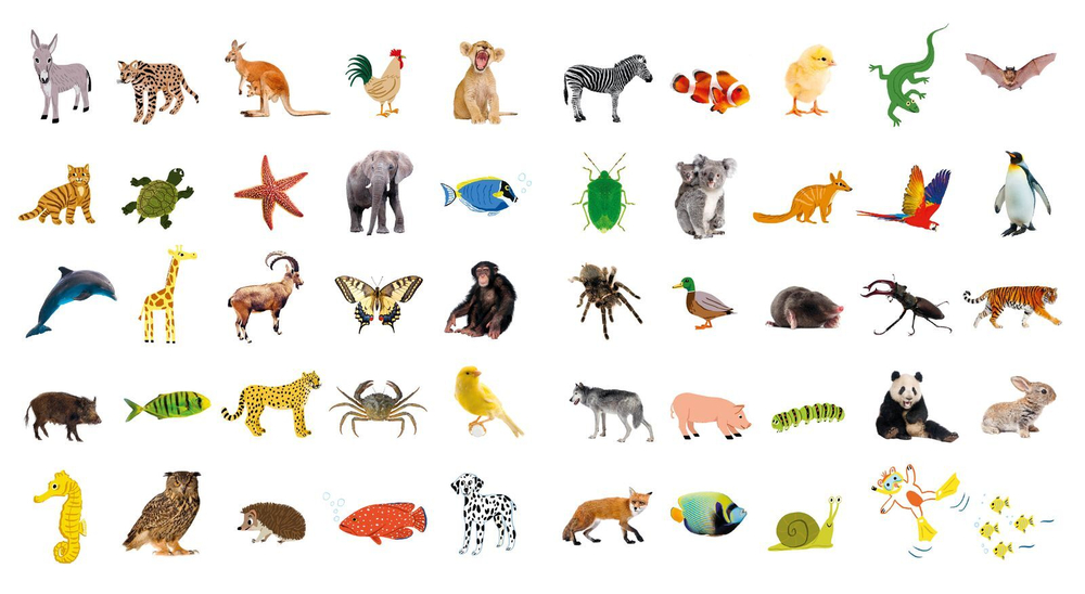 First Animals. Clever Encyclopedia