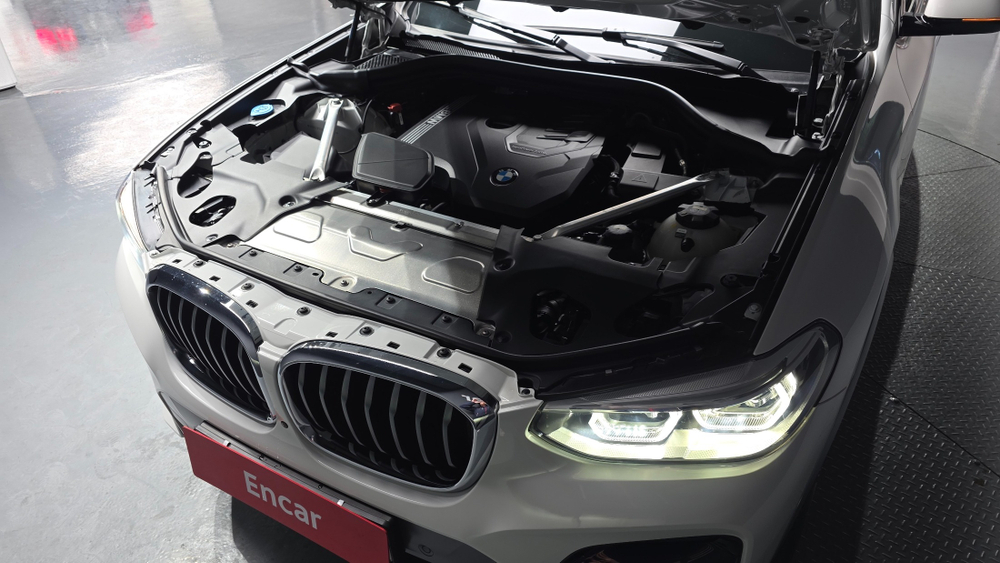 BMW X4 (G02) xDrive20i M Sport X