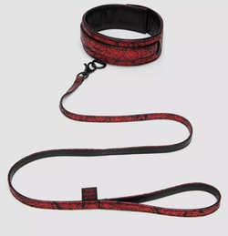 Стильный ошейник с поводком Reversible Faux Leather Collar and Lead