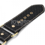 Оковы для ног Rebellion Reign