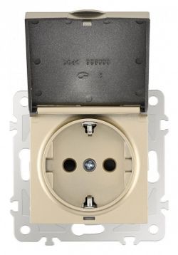 Розетка влагозащищенная с заземлением и со шторкой с крышкой Arte Milano am-206 206.41-1.shampan