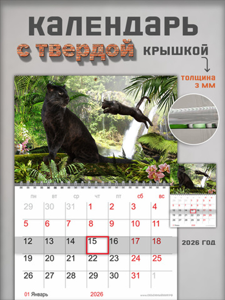 Настенный отрывной календарь "Пантеры"