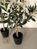 Олива в кашпо 15x15x50 см