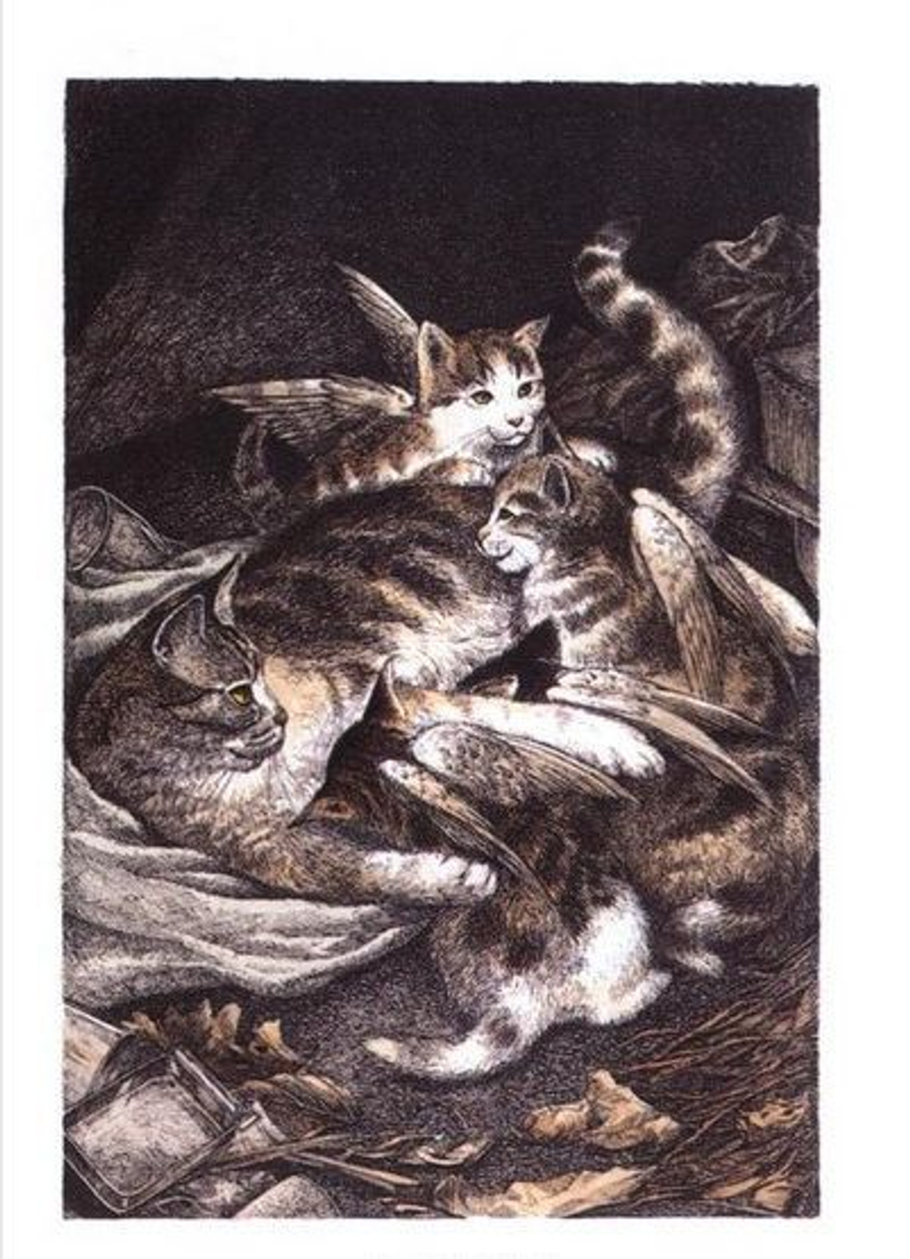 Крылатые кошки