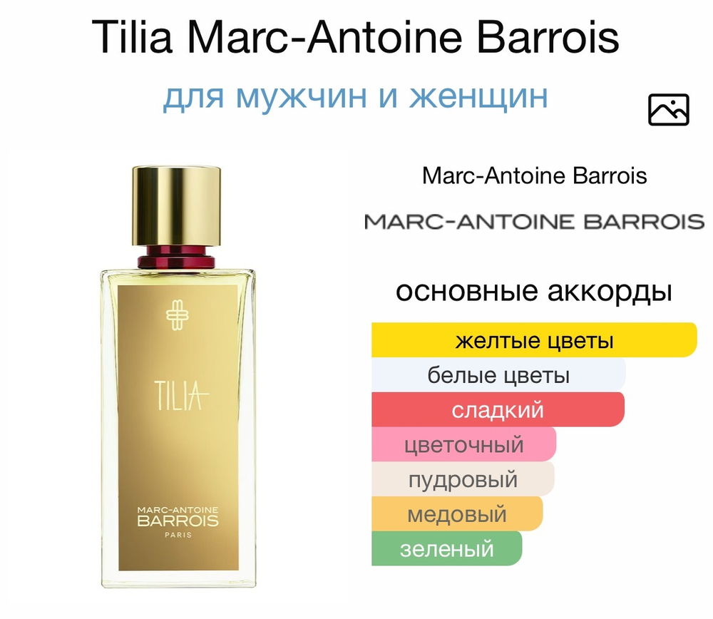 Tilia Marc-Antoine Barrois