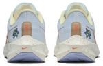 Кроссовки Nike Air Zoom Pegasus 39 (Женская размерная сетка)